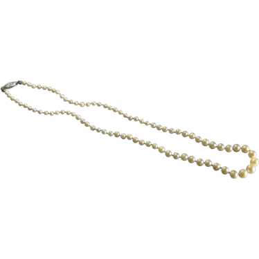 Vintage Delicate Faux Pearl Necklace