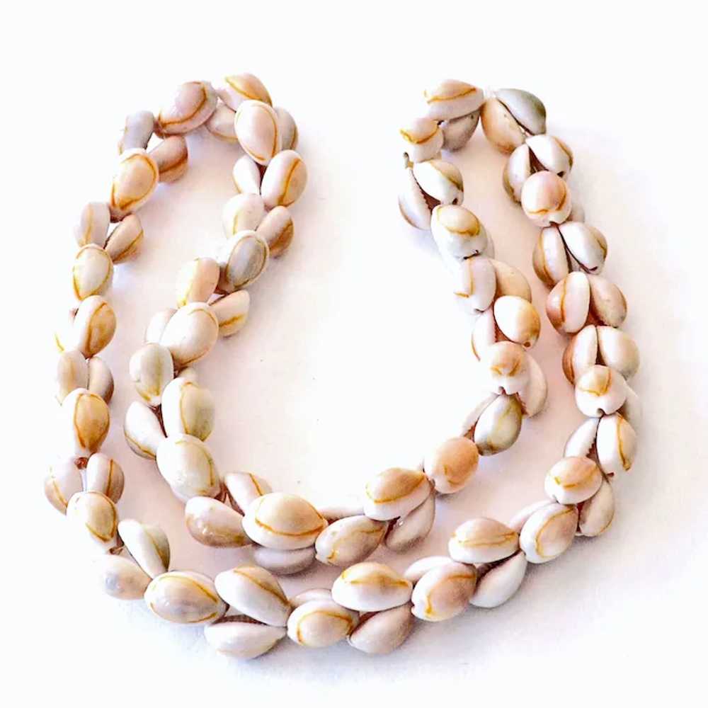 Beachy Natural Cowrie Shell Necklace 30 Inches - image 3