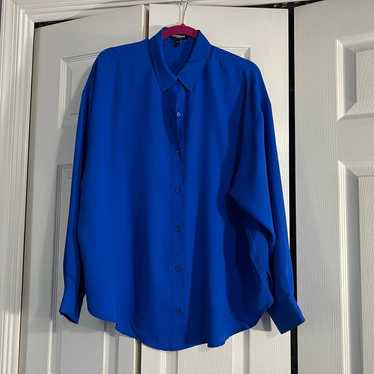 EXPRESS Royal Blue Long Sleeve Blouse (L)