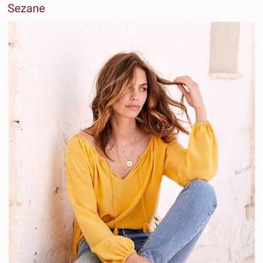 Sezane Silk Blouse - image 1