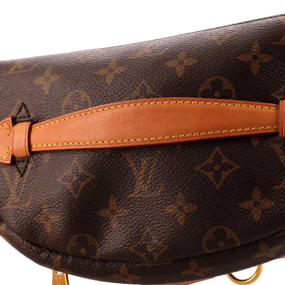 Louis Vuitton Bum Bag Monogram Canvas - image 8