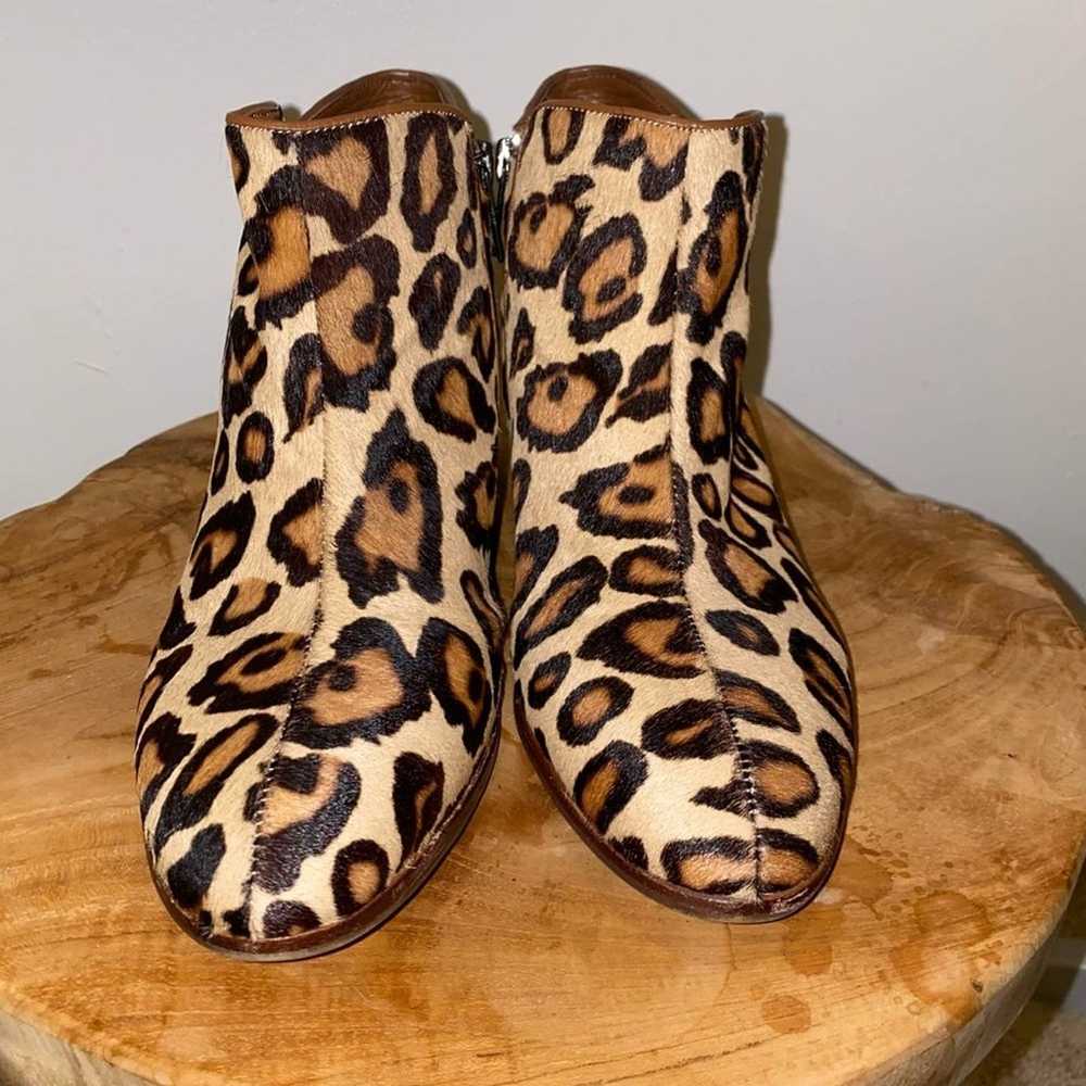 Sam Edelman Leopard Booties - image 3