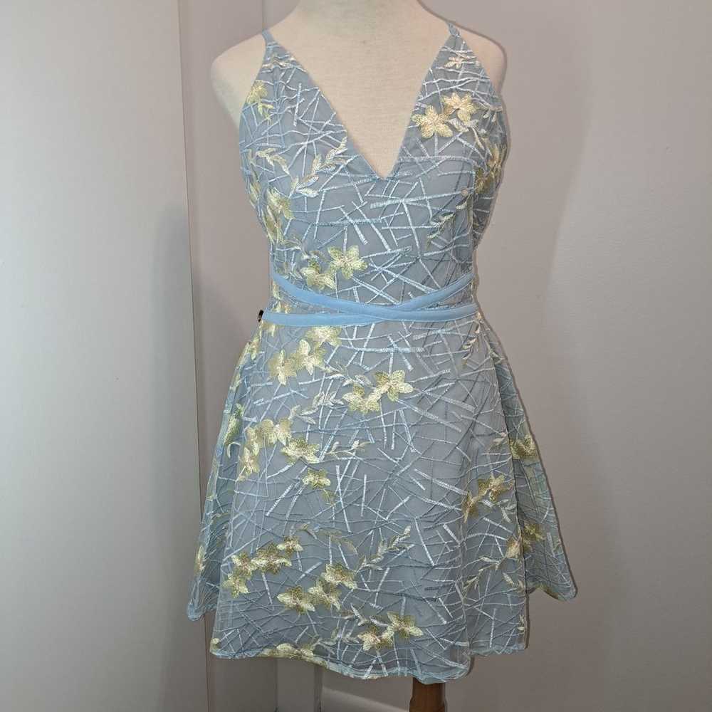 Dolly & Delicious Dress Size 12 - image 1