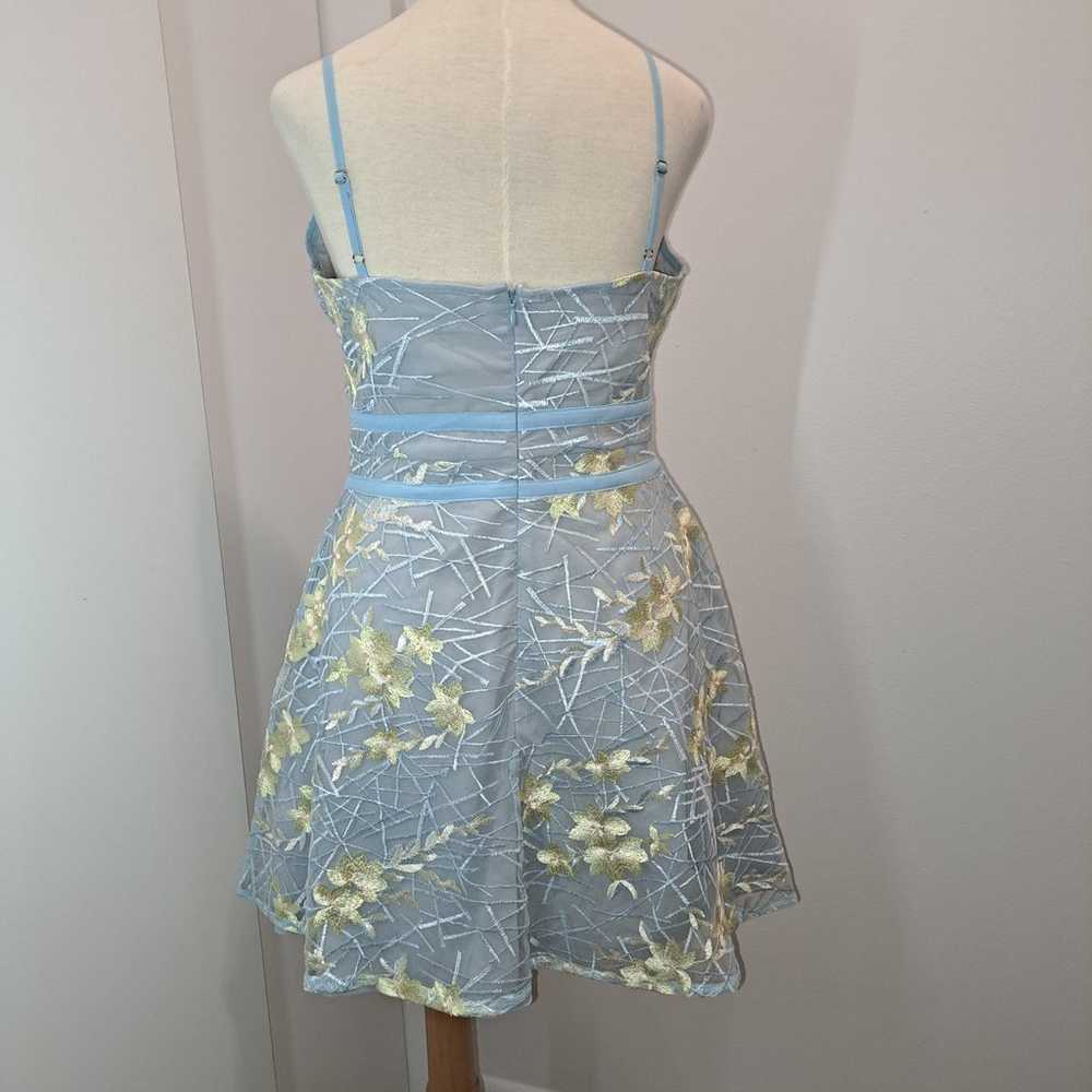 Dolly & Delicious Dress Size 12 - image 2