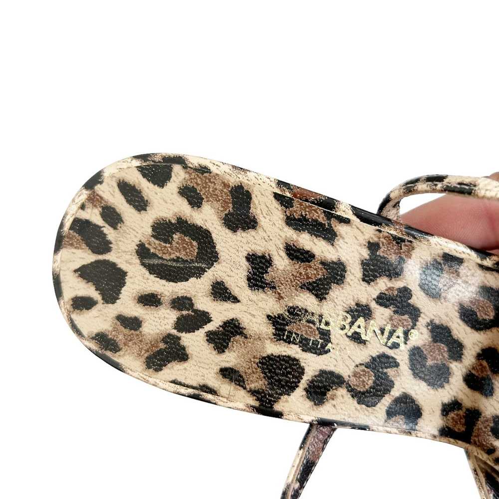 Dolce & Gabbana Dolce & Gabbana Cheetah Print Str… - image 4
