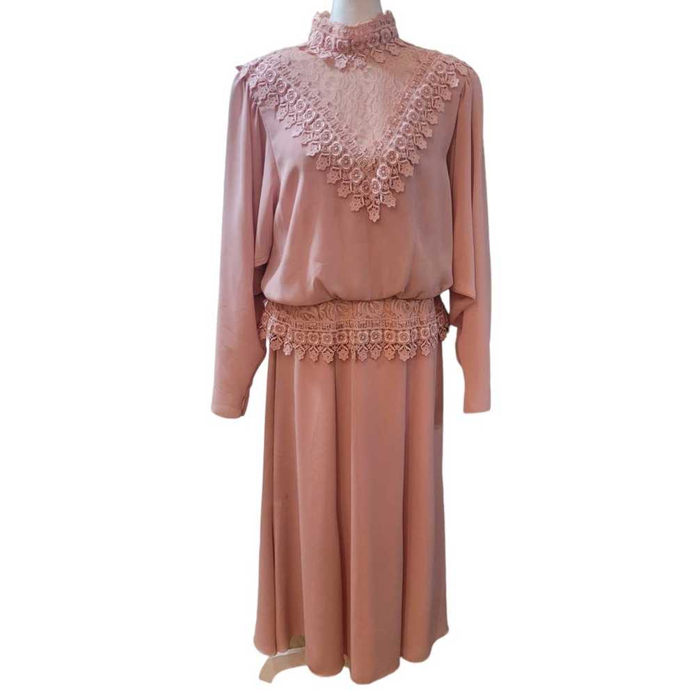 VINTAGE 1970's Pink Victorian Lace High Embroider… - image 1
