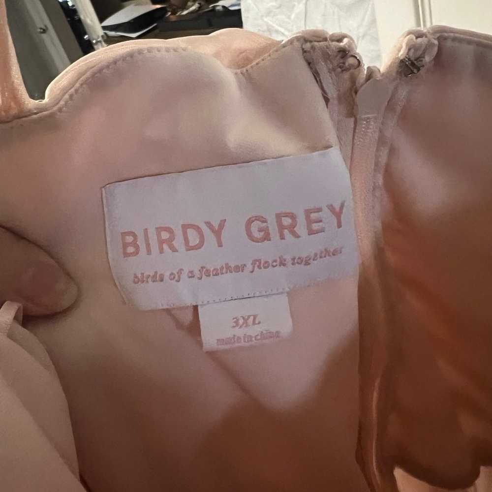 Birdy Grey Pale Blush Bridesmaids Dress - image 3