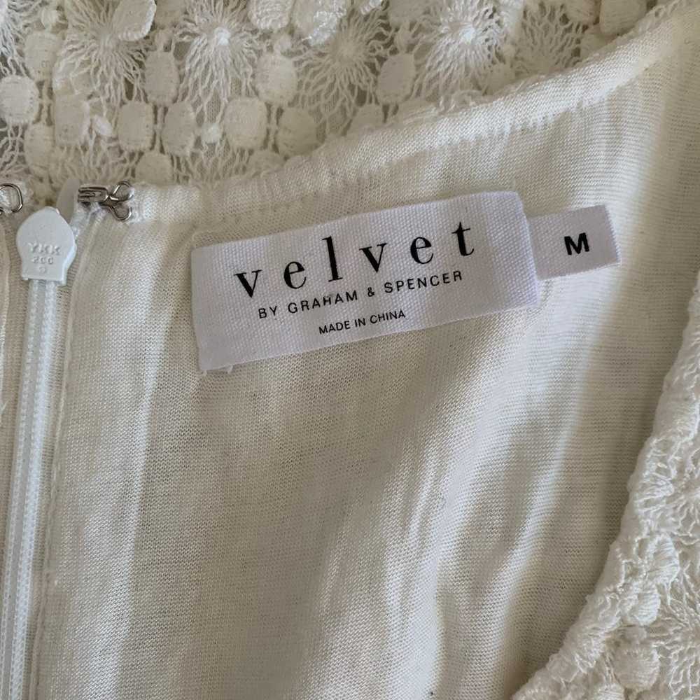 Velvet by Graham and Spencer lace Dress - image 8