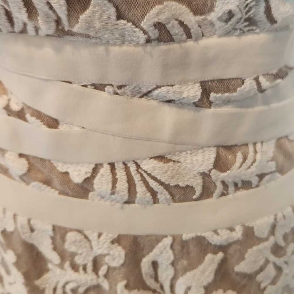 Tadashi Shoji Lace and Tulle Sheath Ivory Dress S… - image 9