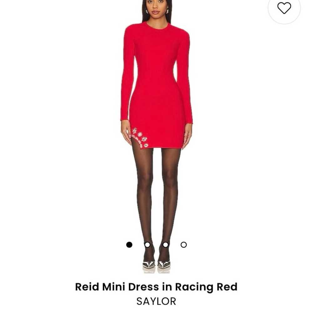 Reid Mini Dress by Saylor - image 7