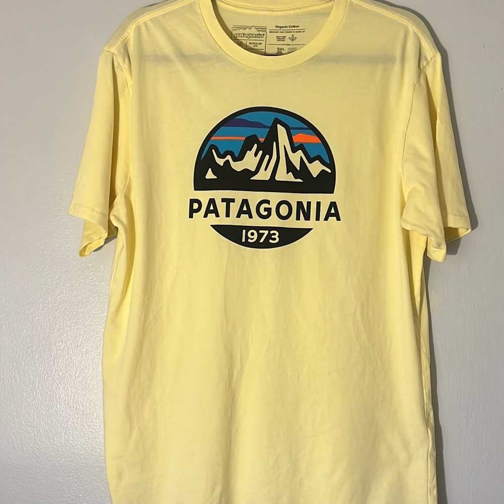 Patagonia Men’s T Shirt size medium - image 1