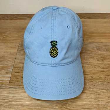 Other Light Blue Pineapple Embroidered Adjustable… - image 1