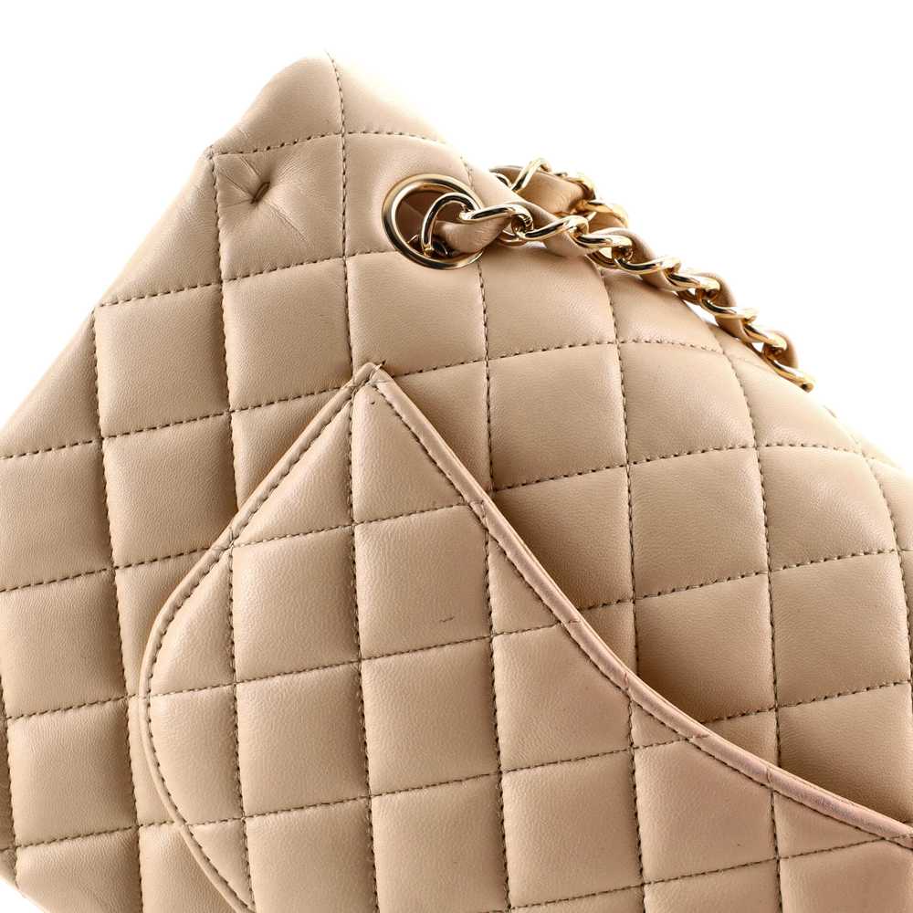 CHANEL Classic Double Flap Bag Quilted Lambskin M… - image 8