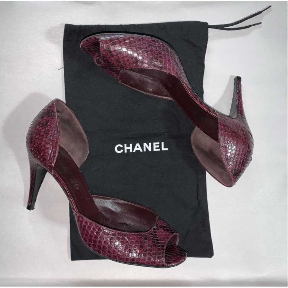Chanel Python heels - image 10