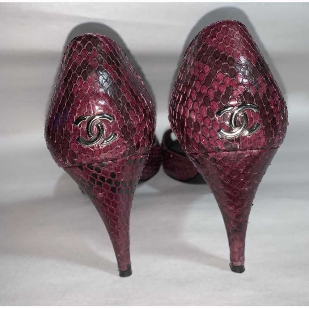 Chanel Python heels - image 3
