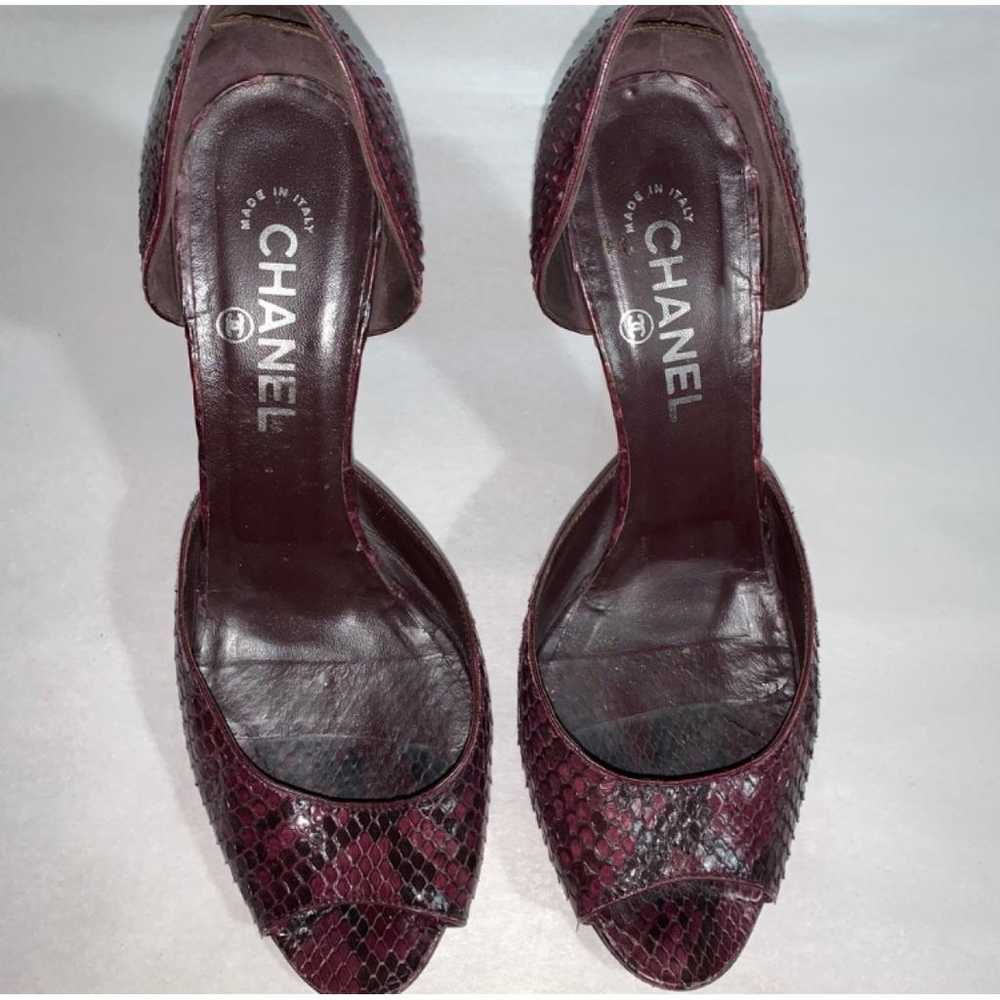 Chanel Python heels - image 5