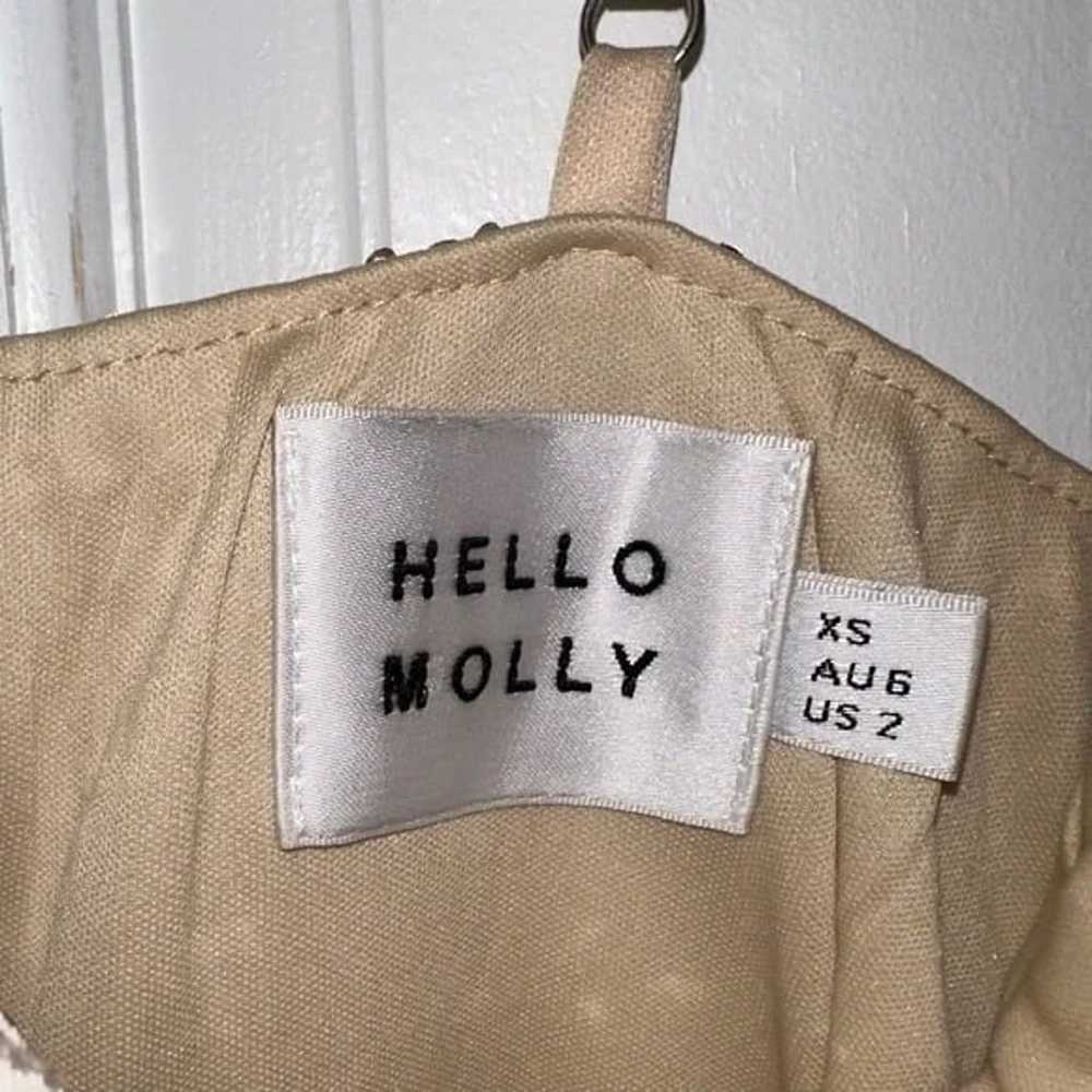 Hello Molly Mini Dress - image 4