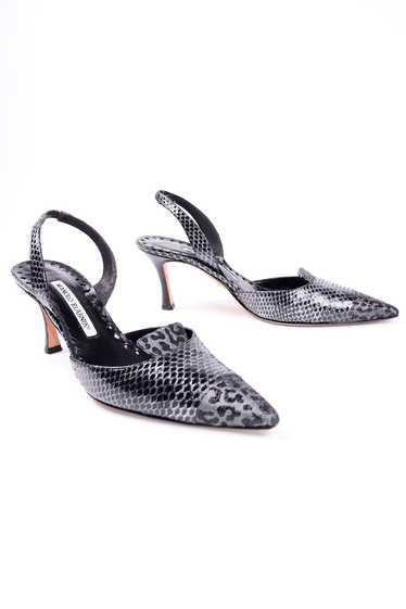 Manolo Blahnik Grey Ploiesti Snakeskin Slingback H