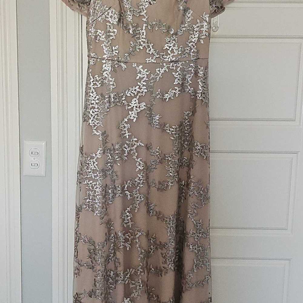Adrianna Papell evening gown - image 3