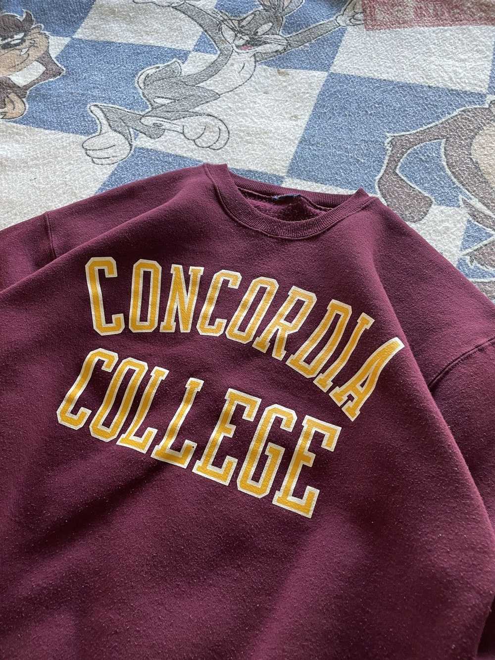 American College × Vintage Vintage Concordia coll… - image 2