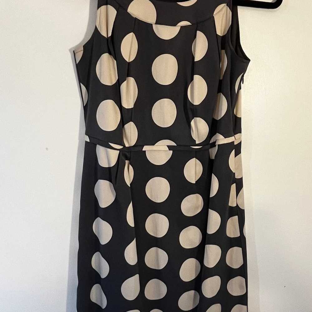 Boden Grey & Tan Polka Dot Shift Dress Size 6 - image 4
