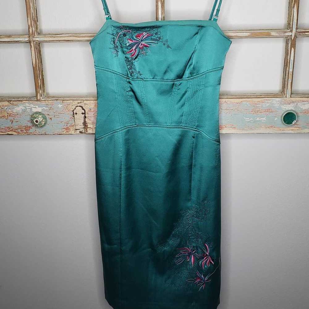 Karen Millen lined Silk Corset embroidered dress … - image 1