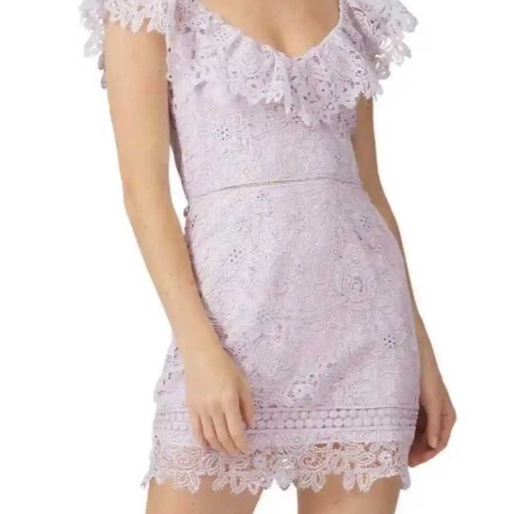 Saylor Lilac Lace Ruffle V Neck Mini Dress Flutte… - image 1