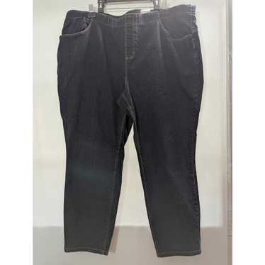 Unkwn Denim & Co Blue Jeans Pants Plus Size 24WP … - image 1