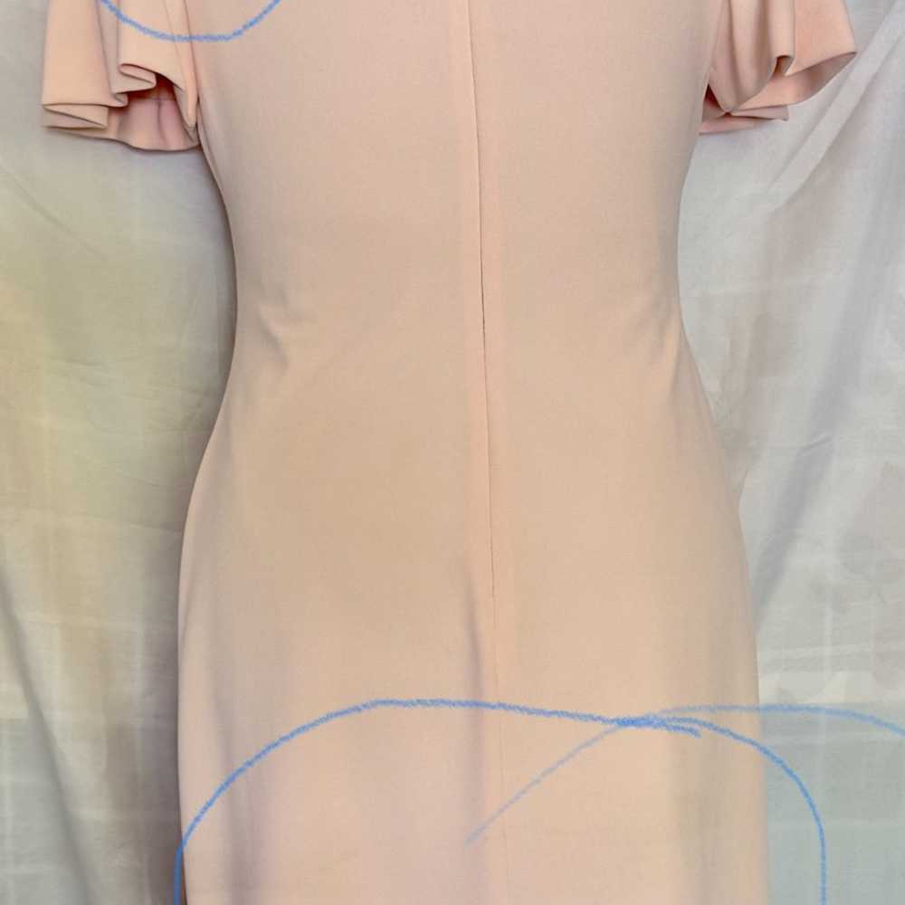 LAUREN Ralph Lauren Women Dress, Light Pink, Size… - image 10