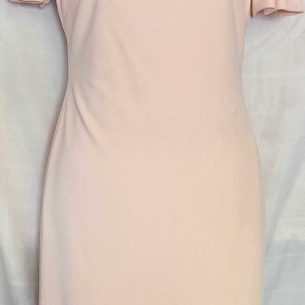 LAUREN Ralph Lauren Women Dress, Light Pink, Size… - image 9