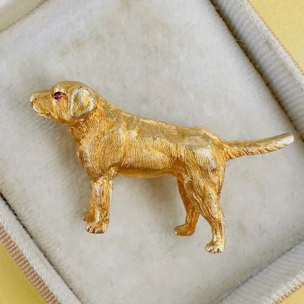 Vintage Gold & Ruby Labrador / retriever dog broo… - image 2