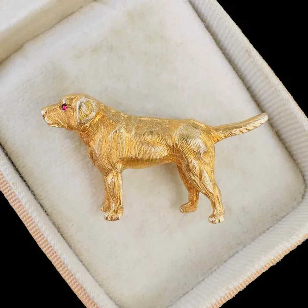 Vintage Gold & Ruby Labrador / retriever dog broo… - image 4