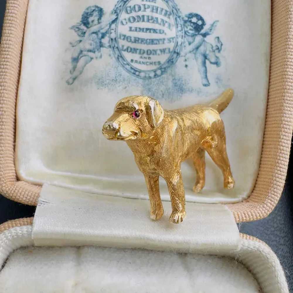 Vintage Gold & Ruby Labrador / retriever dog broo… - image 7