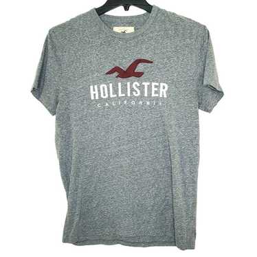 Hollister California Embroidered Grey Woman Large… - image 1