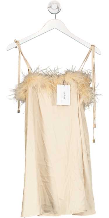 Nasty Gal Metallic Feather Trim Satin Nighty Slip 