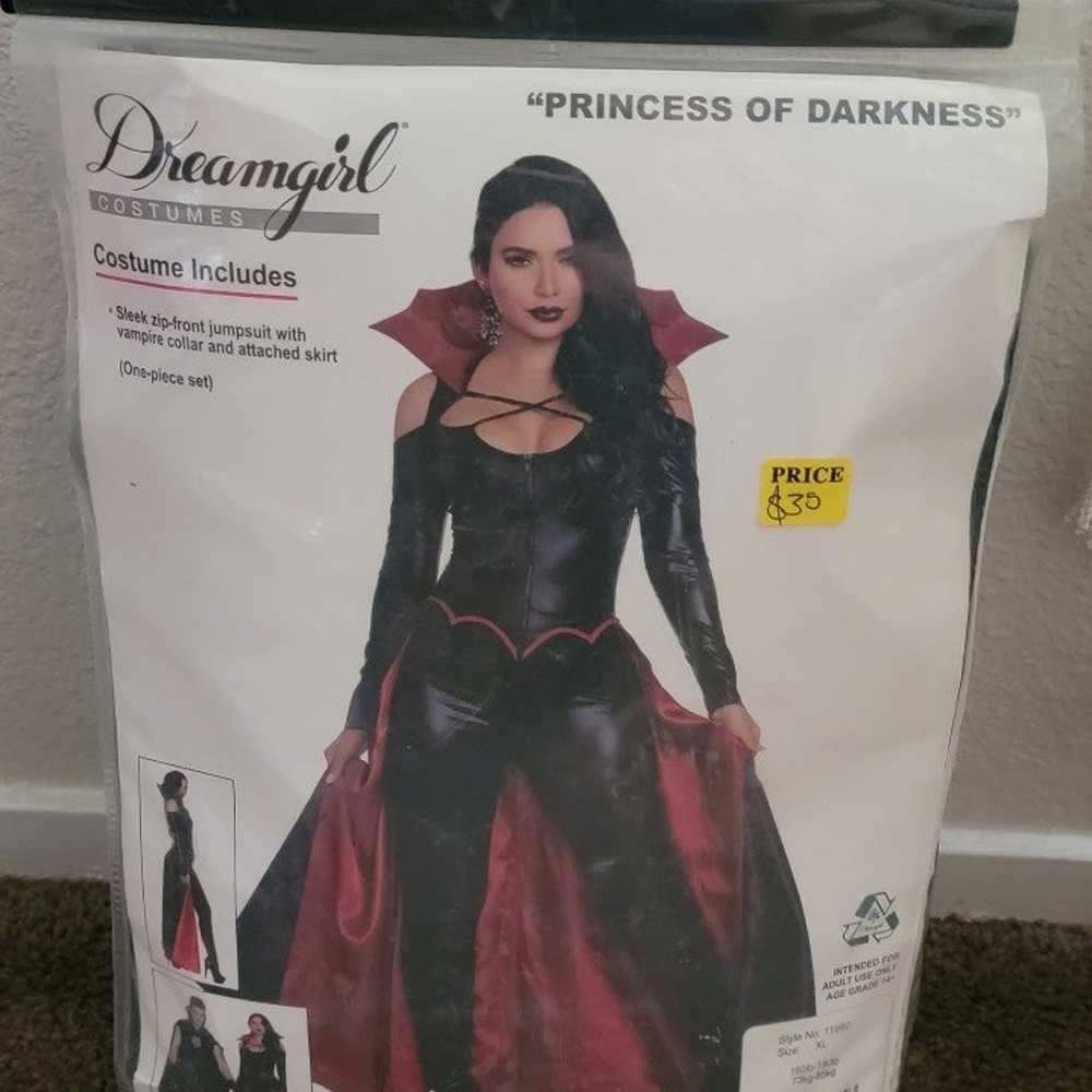 Princess of Darkness Adult Costume - image 3