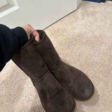 classic ugg boots brown