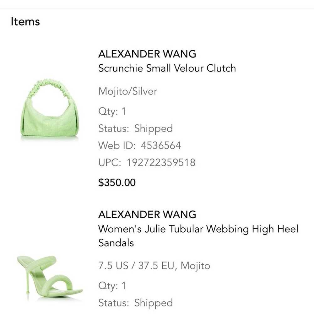 Alexander Wang high heel sandals - image 6