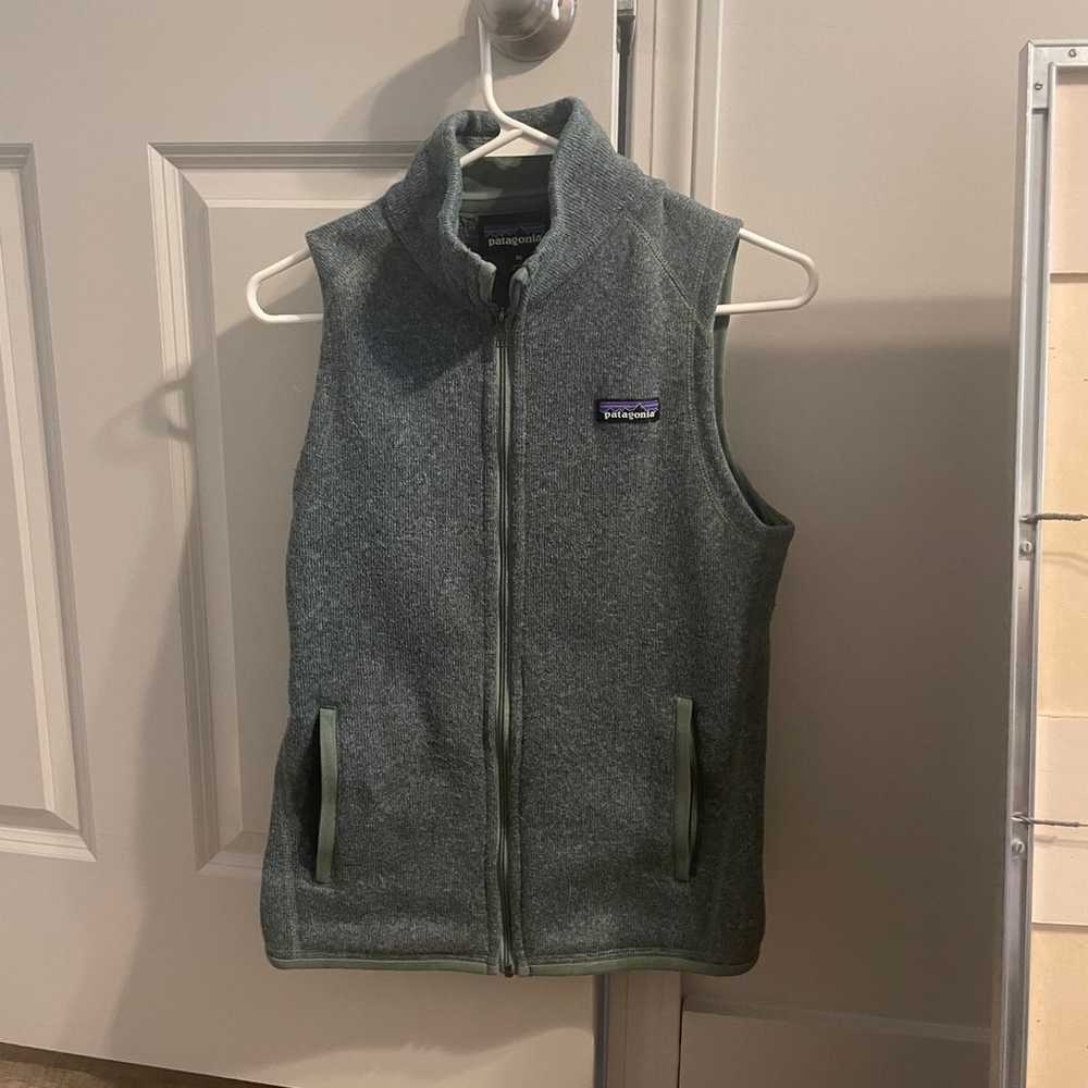 Patagonia Better Sweater vest - image 1