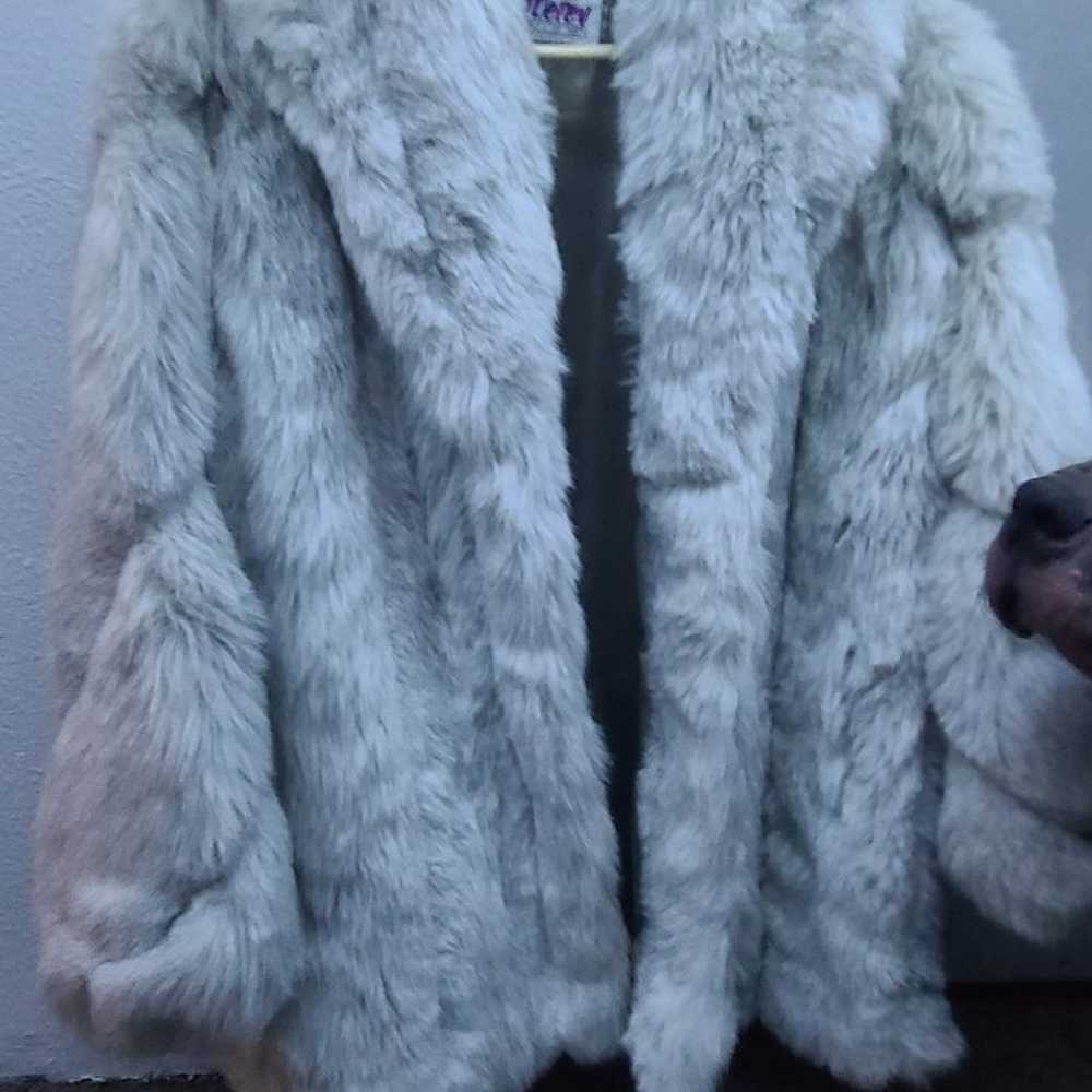 Fur Coat - image 3