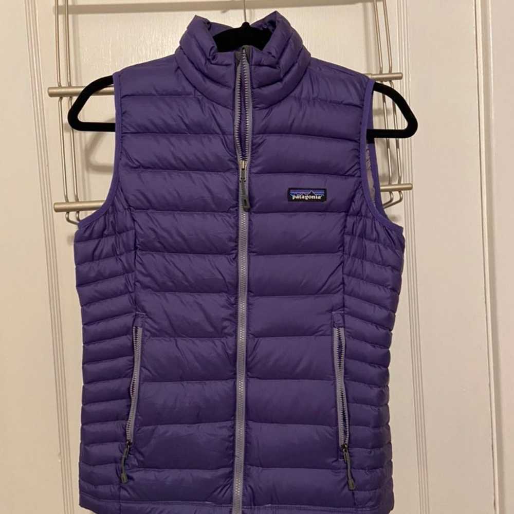 Patagonia Down Sweater Vest XS - image 1