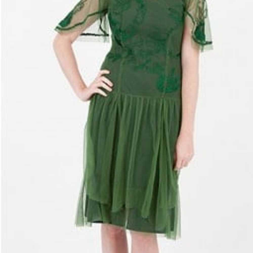 Nataya green lace tulle 1920s style flapper dress - image 1