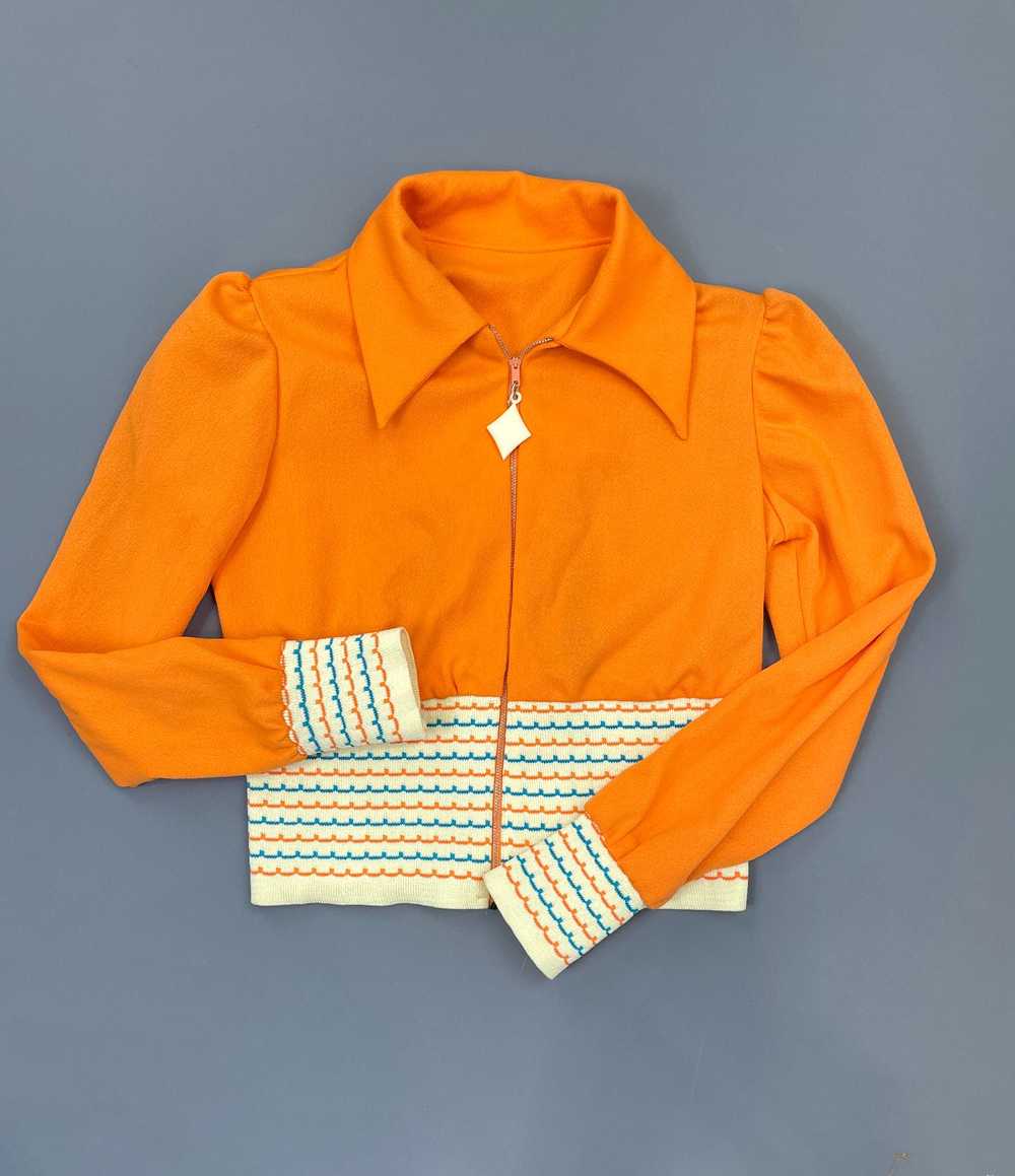 AMAZING! 1970S CROPPED SORBET STRIPED COLLARED TOP - image 1