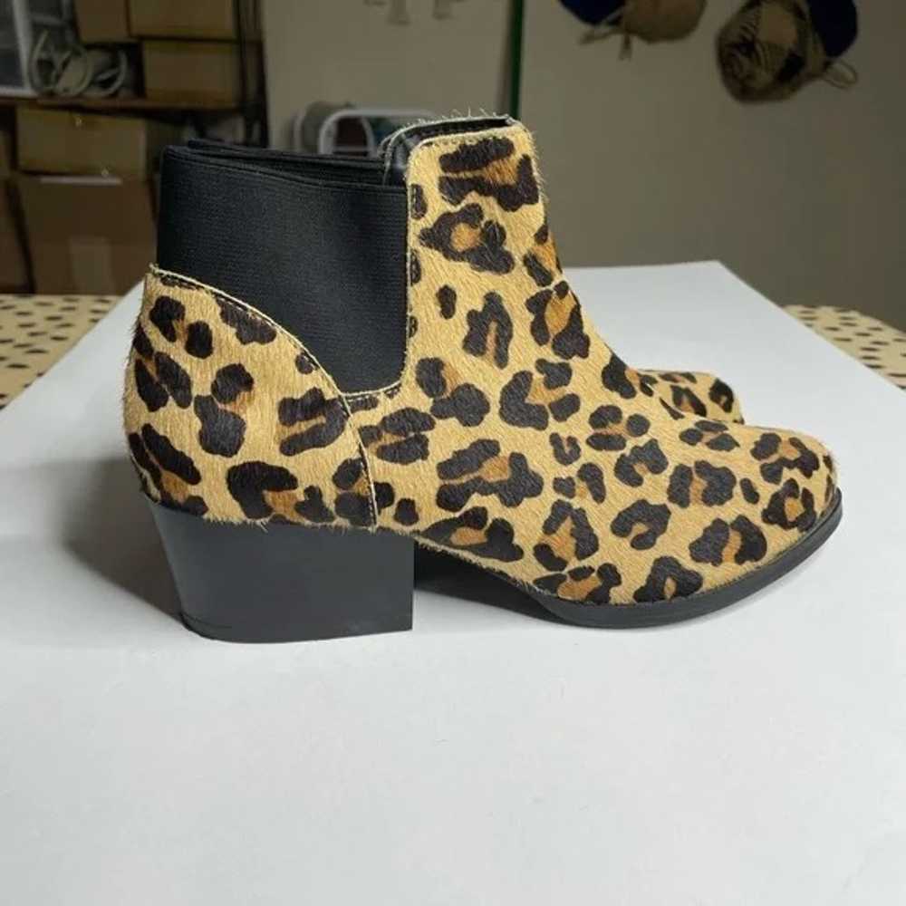 Steve Madden Palace Genuine Dyed Cow Hair Leopard… - image 11