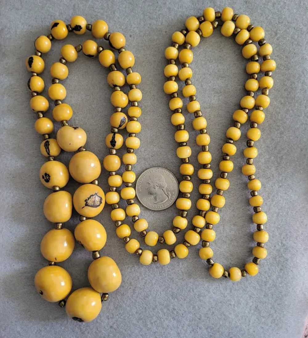 Exotic Açaí Seed Bead Necklace Tropical Yellow Lo… - image 3