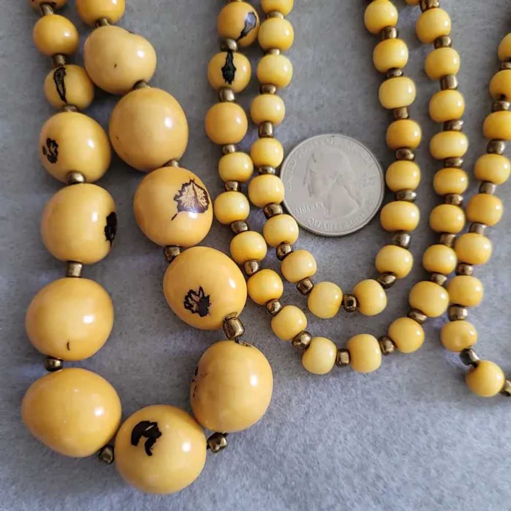 Exotic Açaí Seed Bead Necklace Tropical Yellow Lo… - image 4