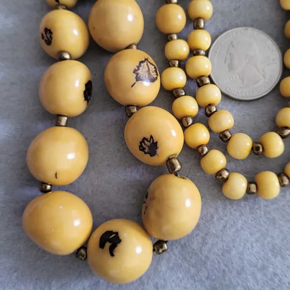 Exotic Açaí Seed Bead Necklace Tropical Yellow Lo… - image 5