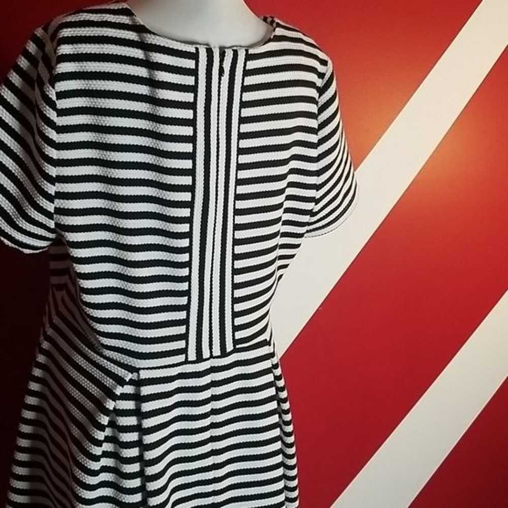 Cece black/white Fit flare dress size XL - image 6