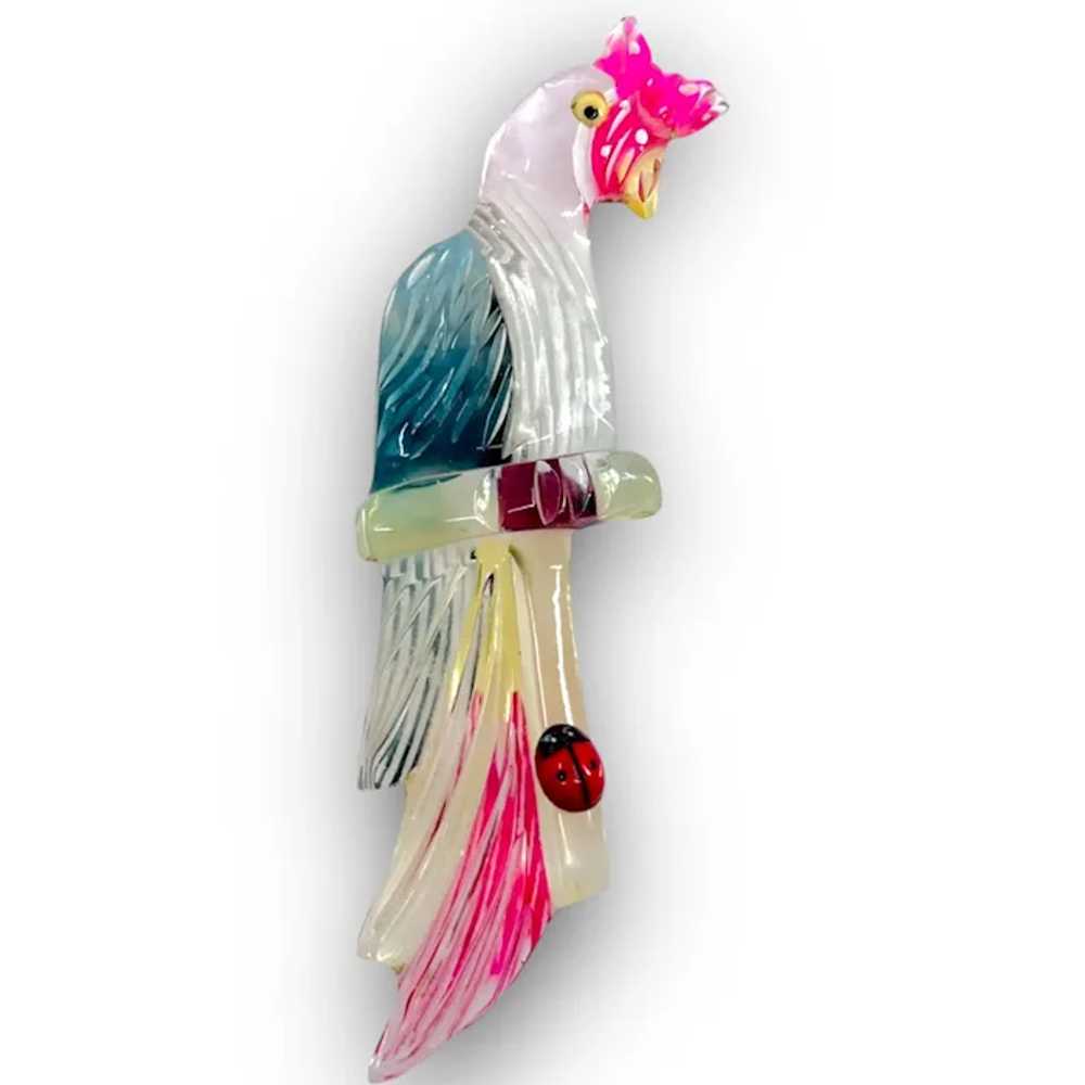 Lucite Reverse Carved & Painted Large Parrot, Bir… - image 2