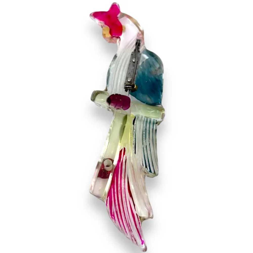Lucite Reverse Carved & Painted Large Parrot, Bir… - image 3